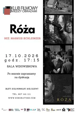 Róża. DKF